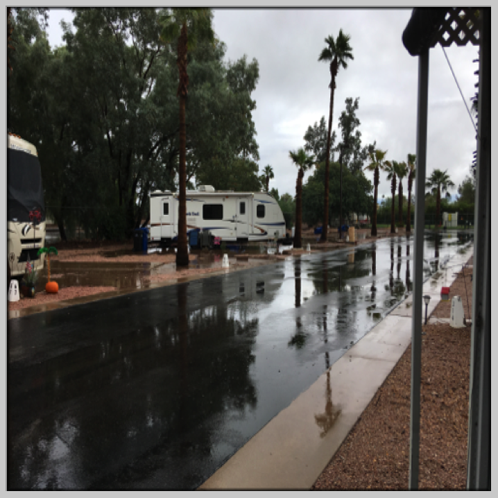 Morning after 3 inch rain in the Phoenix area.