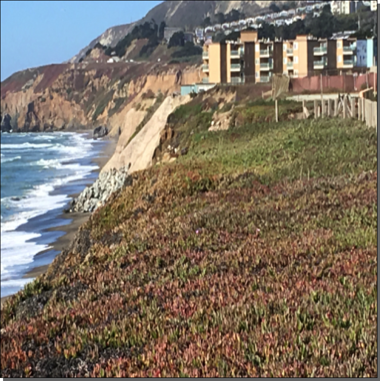 Cliff Erosion