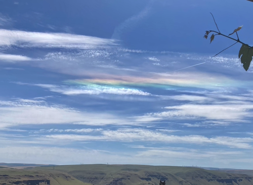Rainbow in the clouds (probably from jet exhaust) as the sun hit the clouds at just the right angle!