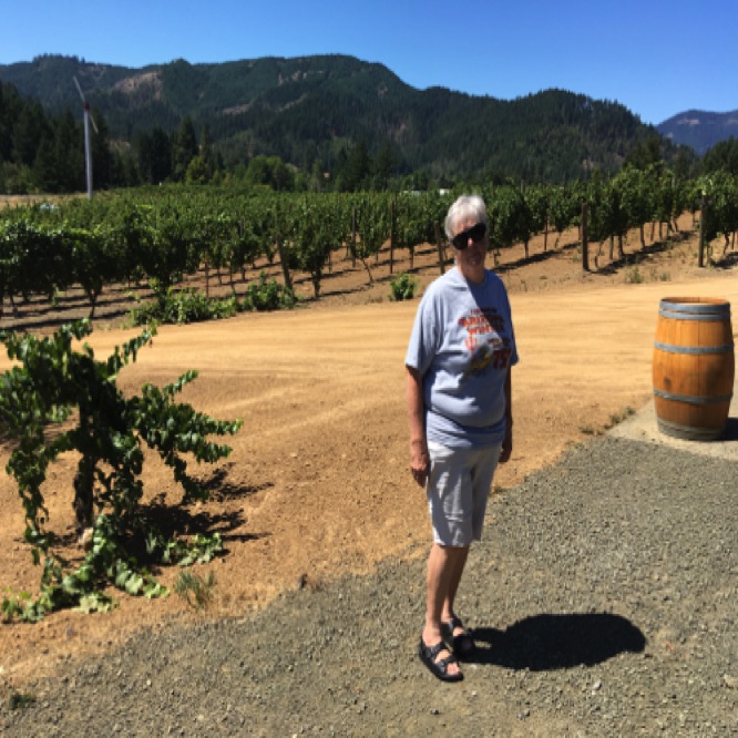 Vines at Gardet Winery in Roseburg, Oregon.